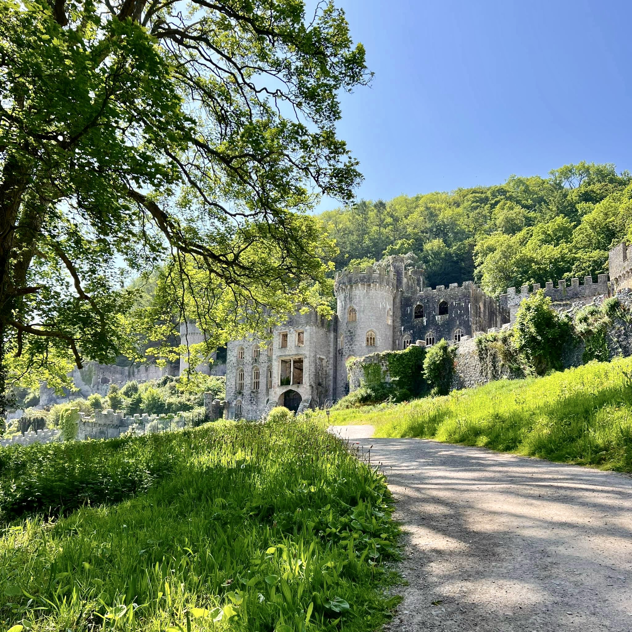 Royal Drawing School - Gwrych Castle